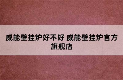 威能壁挂炉好不好 威能壁挂炉官方旗舰店